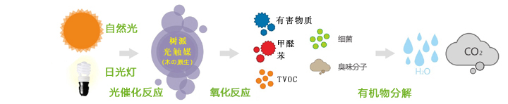 樹(shù)派光觸媒氧化分解原理圖